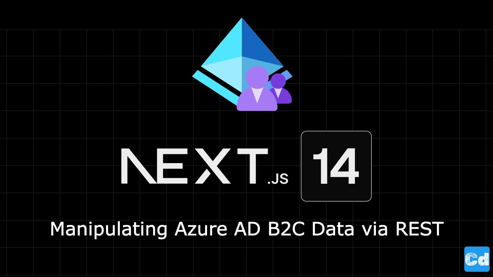 How to manipulate your Azure AD B2C Data via your REST API